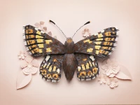 Using More Than 4,000 Pieces of Paper