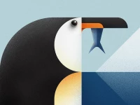 Geometric Animals