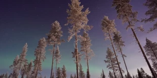 Northern nature