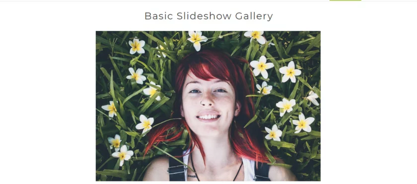 Slideshow Gallery