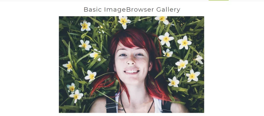 Imagebrowser Gallery