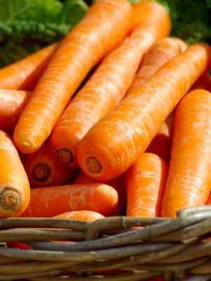 Carrots